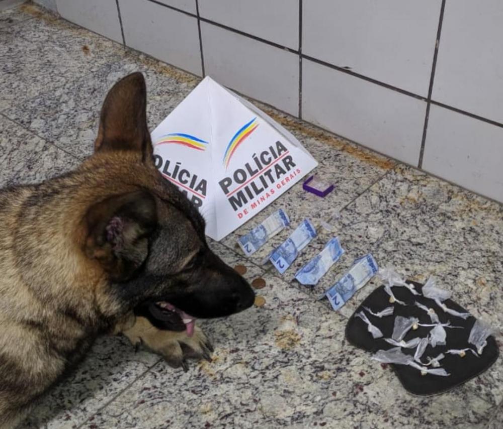 Cachorro da Polícia Militar foi usado na operação.